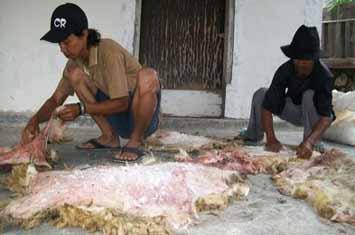 Hukum Menjual Kulit Hewan Qurban Untuk Kepentingan Masjid