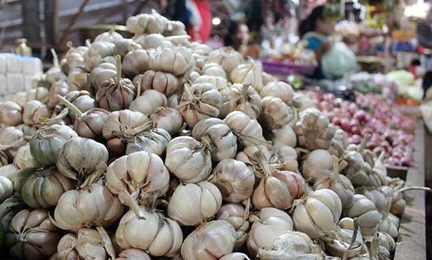 Ironis!  Rakyat Miskin Terpaksa Konsumsi Bawang Putih Busuk