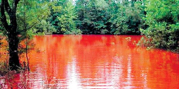 Warga Maluku Tengah Heboh Air Laut Berubah Menjadi Merah, Ini Sebabnya