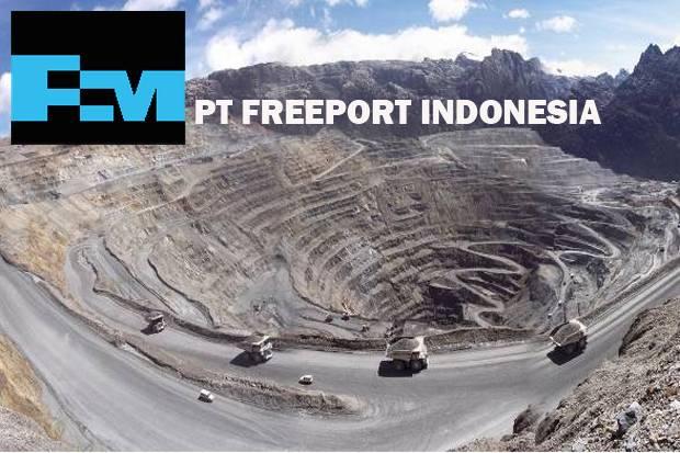 Kontrak Freeport Diperpanjangan? Hasil dari Lobi-lobi Papa Minta Saham?
