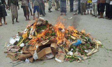 Al-Qaidah Yaman Larang Penjualan dan Pemakaian Daun Qat di Kota Al-Mukalla