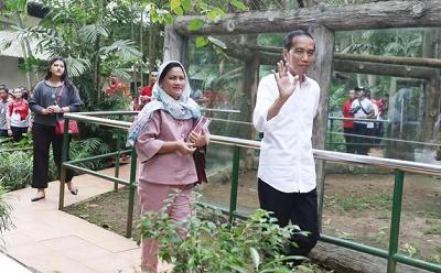 Usul: Jokowi Berkantor di Papua Saja dan Blusukan
