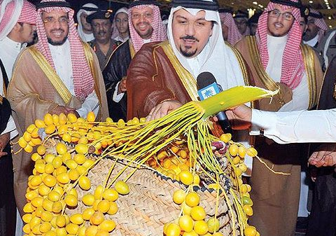 INI DIA Kurma Favorit Para Raja Arab. Kurma Sukari Penambah Stamina Pria