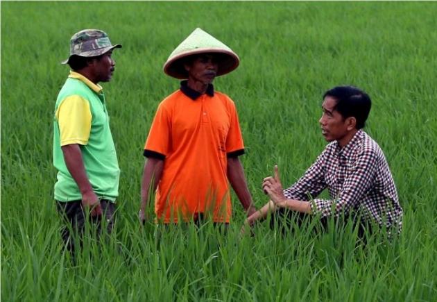 Aksi Dua Elemen dari Berbagai Daerah di Depan Istana Bukti Jokowi Tidak Berpihak kepada Petani