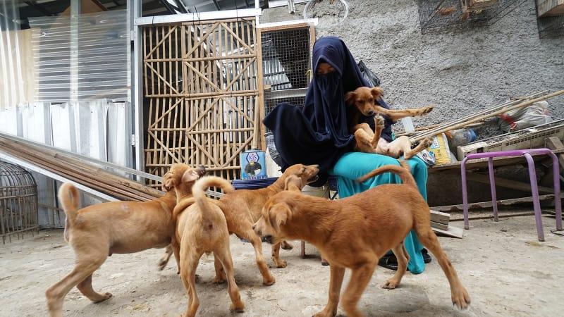 Ini Alasan Warga Tolak Keberadaan Anjing-anjing Peliharaan Hesti