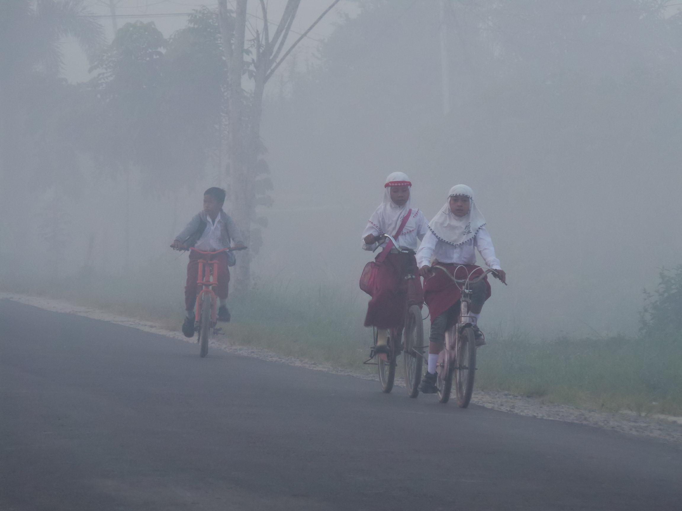 Mau Dibawa Kemana Bencana Asap Ini?