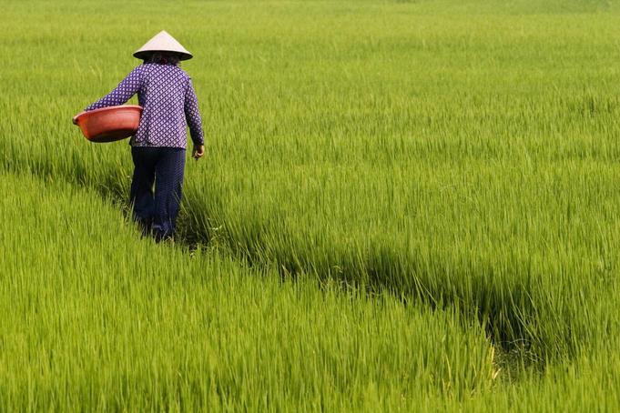 Menjadi Petani Modern untuk Masa Depan