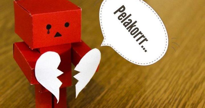 Jangan Teror Islam Dengan Istilah Pelakor