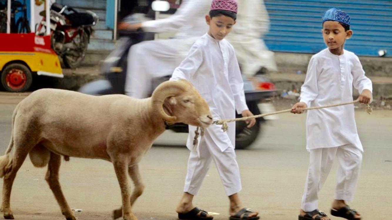 Pembelajaran Qurban untuk Anak